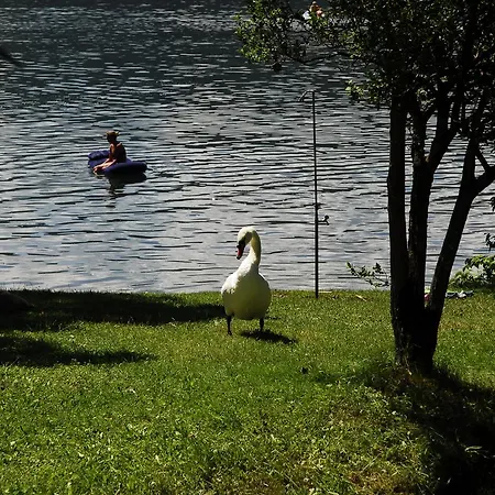 Neubauer - Mobilheime Kemping 3*