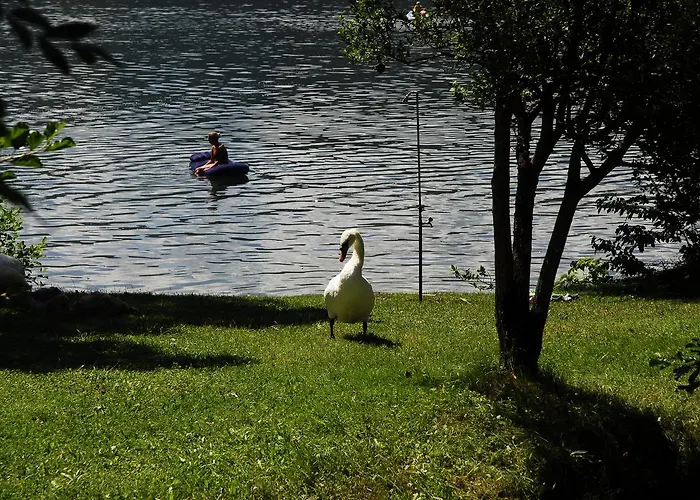 Neubauer - Mobilheime Kemping 3*